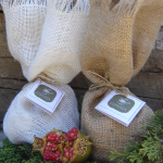 παραδοσιακά προϊόντα περιποίησης