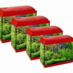 Διαγωνισμός mousouda.gr με δώρο ενυδρείο