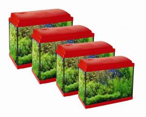 Διαγωνισμός mousouda.gr με δώρο ενυδρείο