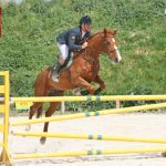 Μάθημα ιππασίας