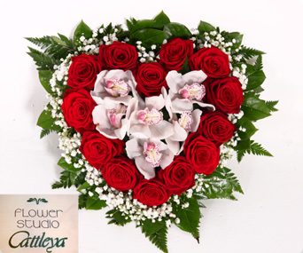 Cattleya Flower Studio