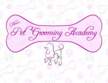 Διαγωνισμός WebPet.gr