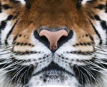 Κερδίστε εισιτήρια για το Αττικό Ζωολογικό Πάρκο