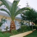 Διαγωνισμός Travelchat.gr με δώρο διακοπές στη Ζάκυνθο