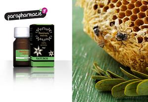 βασλικός πολτός