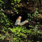 Διαγωνισμός Grancereale με δώρο 10 κιβώτια προϊόντα