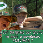 Survivor Party