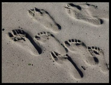 Διαγωνισμός koukidaki με δώρο το βιβλίο “Στρατός ξυπόλητων λεξεων”