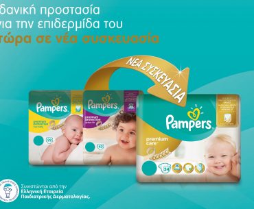 Pampers L7 Dualtransition Kv Land 594x420mm Gr 1