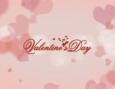 54dd2b6e 72d9 483f 94f5 D433ad445dcd