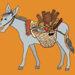 Kaselaki Eksofyllo 2016