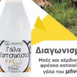 Μενοίκιο