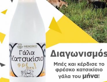 Μενοίκιο