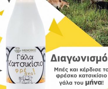Μενοίκιο