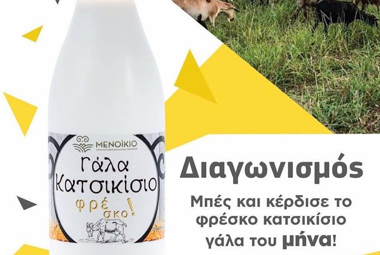 Μενοίκιο