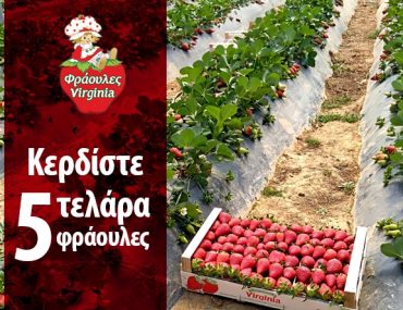 Γίγας Φρουτεμπορική