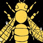 Iwannidis O Xoros Tis Melissas