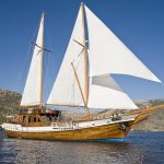 Meandros New Concept Sa Ms Alexandros Achilleas 4