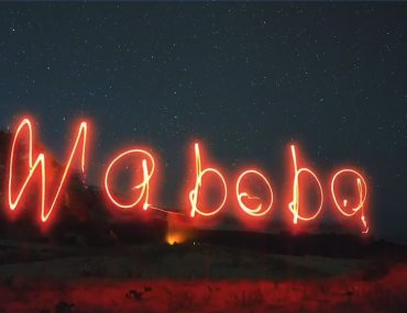 Waboba