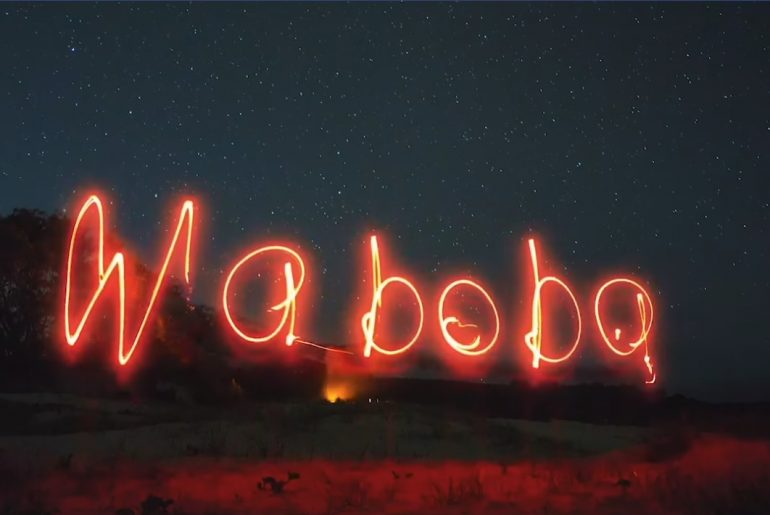 Waboba