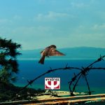 Διαγωνισμός vivlio-life με δώρο το βιβλίο «Όσοι Αγαπιούνται»