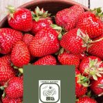 Logopit 1588012366613