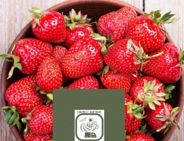 Logopit 1588012366613