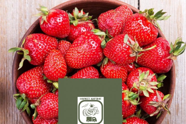 Logopit 1588012366613