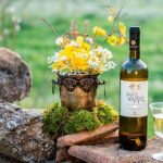 Psiles Korfes Anoigma 575x514