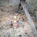 117335930 299064987834429 5016441874339876947 N