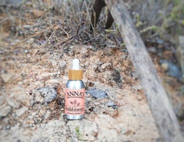 117335930 299064987834429 5016441874339876947 N