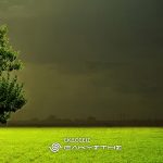 Cover Ονειρεύματα 5x7 3001