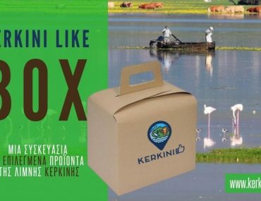 Kerkini Like