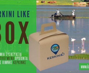 Kerkini Like