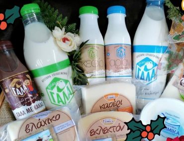 Οικογένεια Τζιμίκα