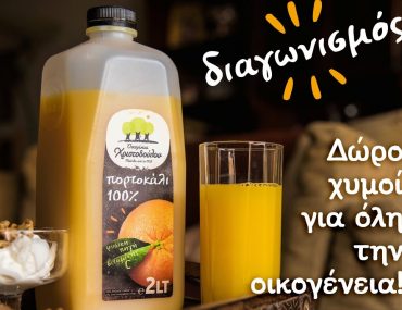 Χριστοδούλου