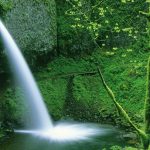 Χρήστος Φλουρής 5x7 300