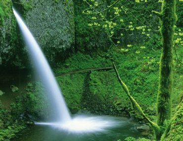 Χρήστος Φλουρής 5x7 300