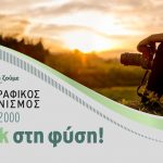 Shutterstock 13046167 [¸÷åé ìåôáôñáðåß]2