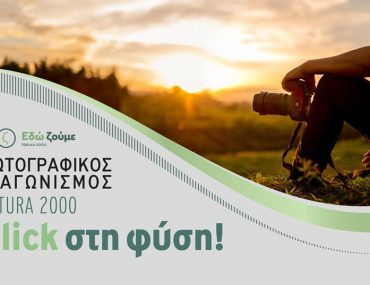 Shutterstock 13046167 [¸÷åé ìåôáôñáðåß]2