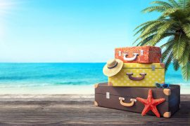 193949050 4024127597663755 2402386499840380710 N